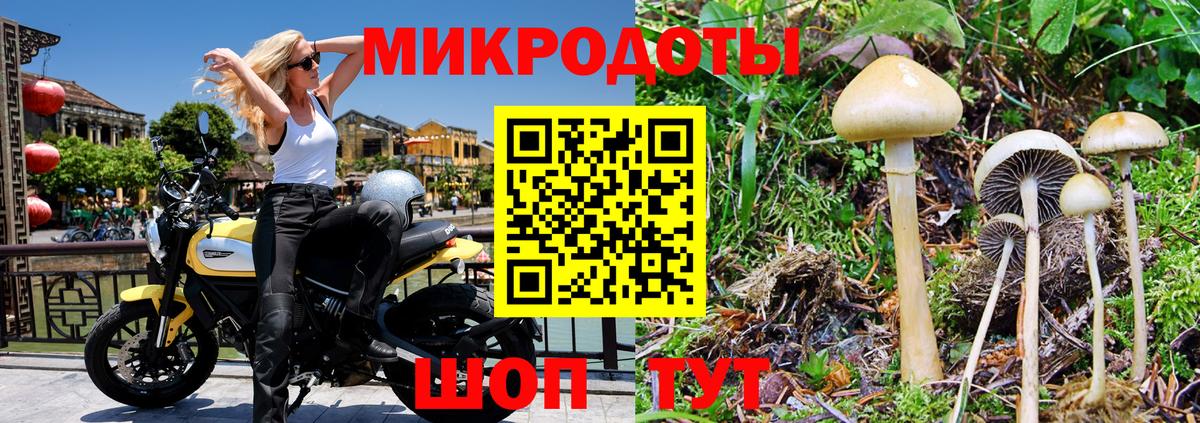 Псилоцибиновые грибы мицелий Полысаево